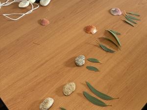 desk with leaves and shells representing counting