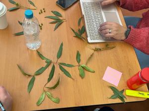 Culturally responsive education