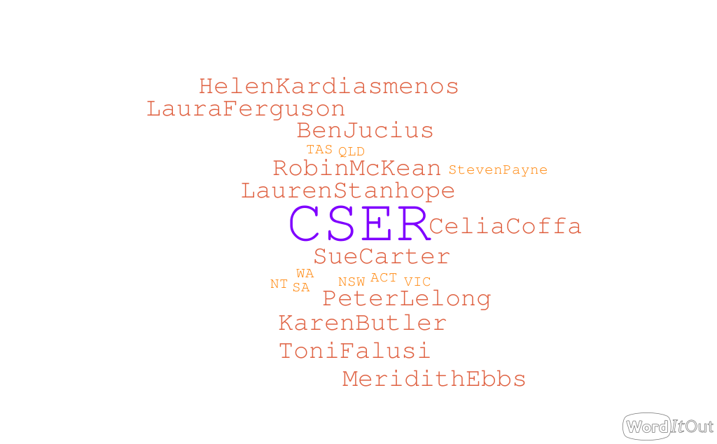 word cloud