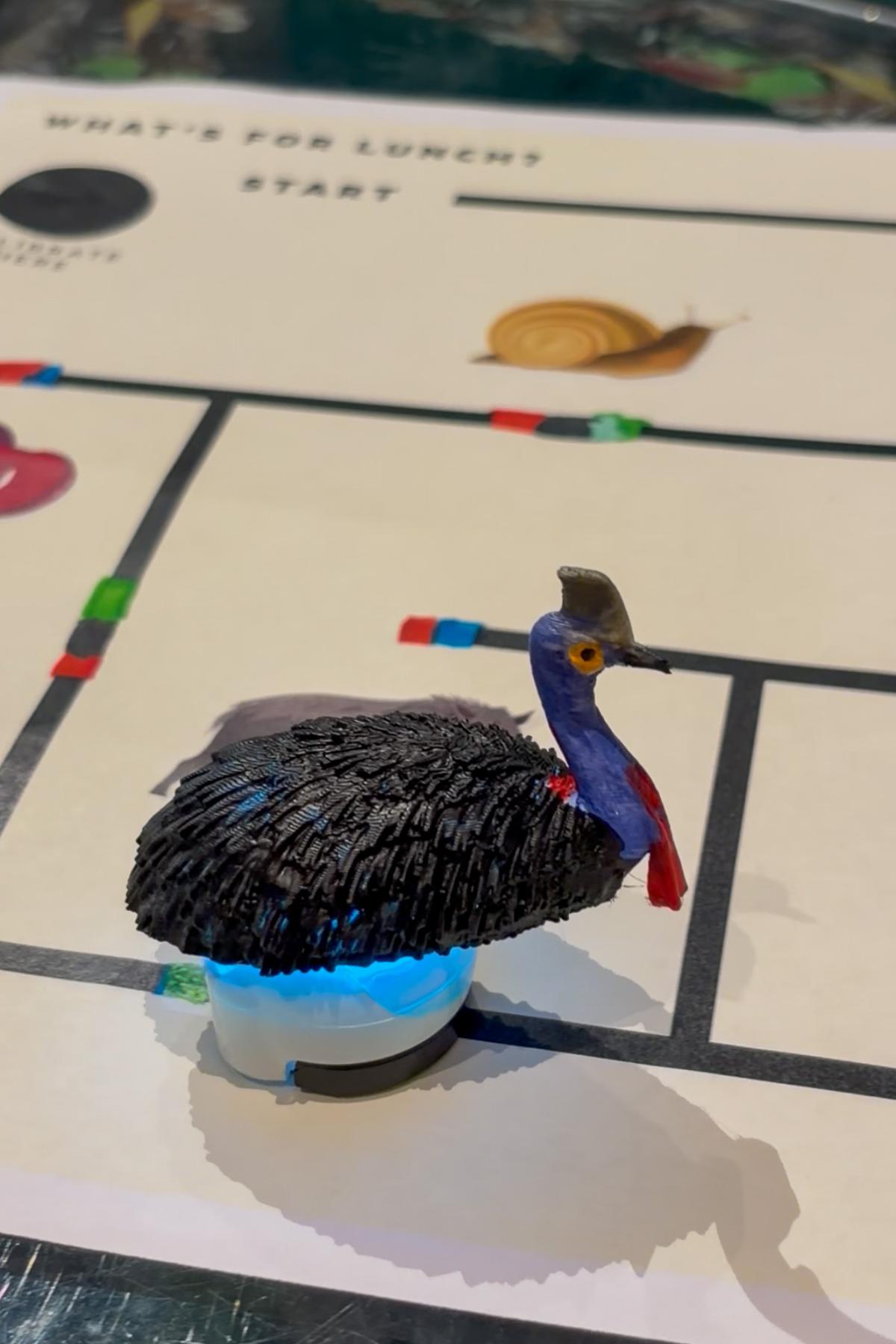 Cassowary Coding Challenge at Queensland Museum Tropics