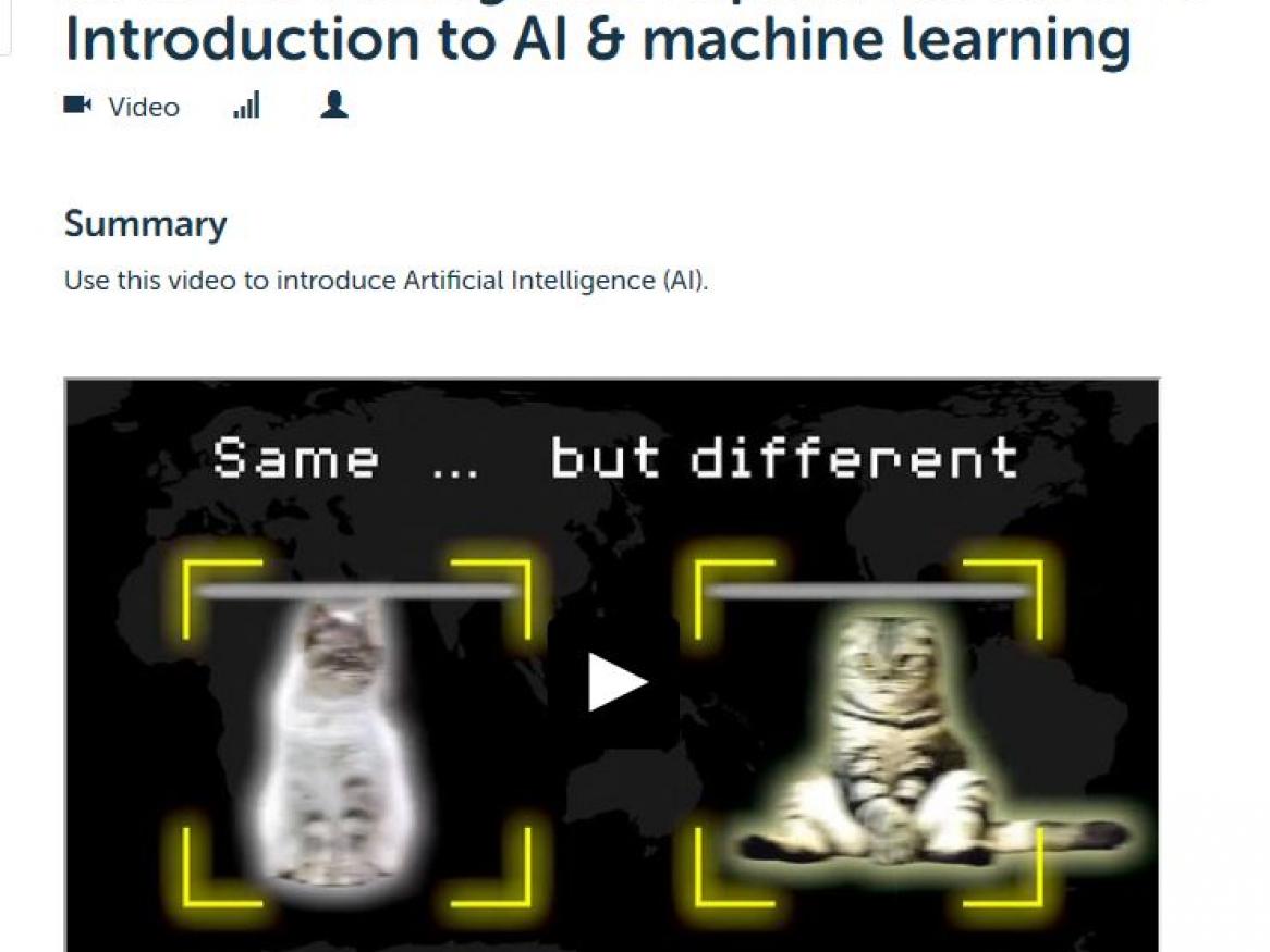 AI ML cat images from DT hub video